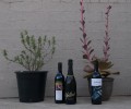 0330-1830 Wines (3305568)